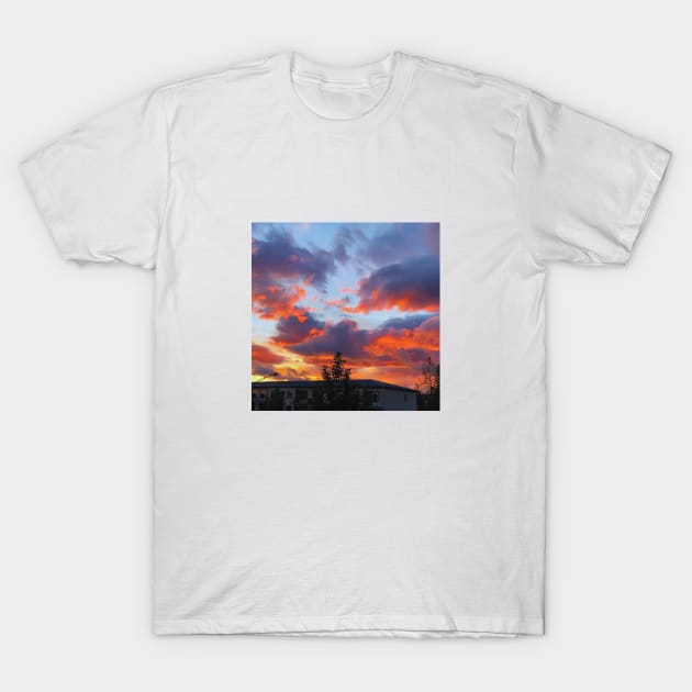 God's world T-Shirt by StinaR